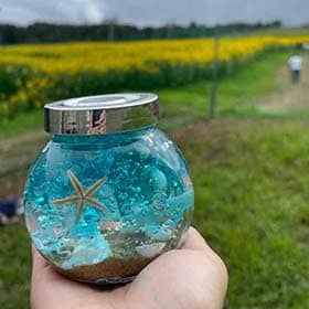 本物の貝殻を使って海を作ろう